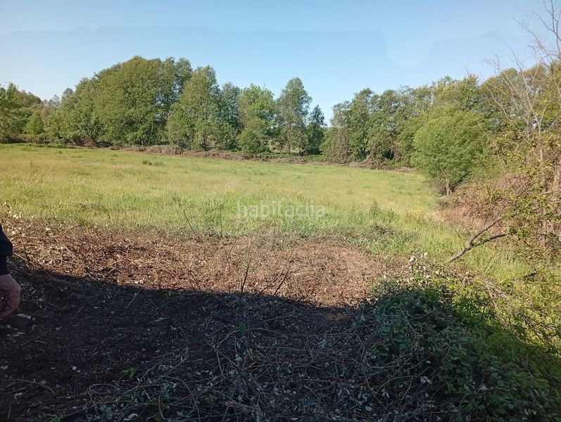 Foto c1407f69-1a40-4763-a41f-908d6ab055a1. Finca rústica a Talaveruela de la Vera