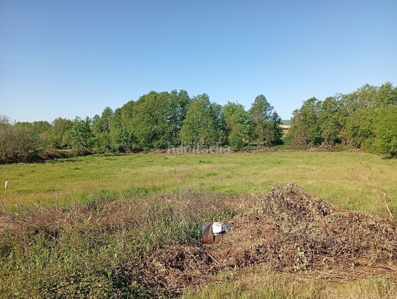 Foto c8ba79ca-7368-4e39-9970-28e2001c67ec. Finca rústica a Talaveruela de la Vera