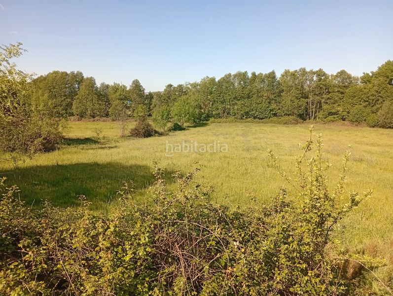 Foto da9646b2-97c3-4294-bd6a-dec209c0ddcb. Finca rústica a Talaveruela de la Vera