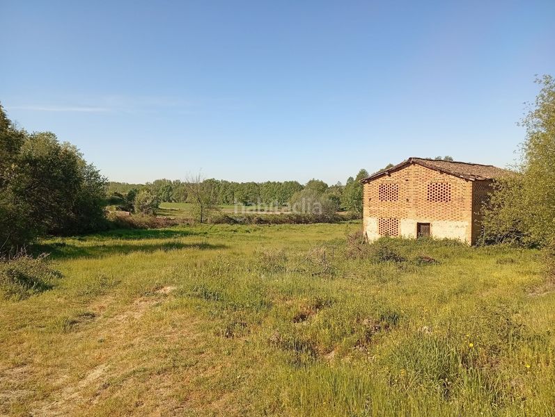 Foto dbadfd42-a1eb-4e91-acc4-e5a5232281bd. Finca rústica a Talaveruela de la Vera