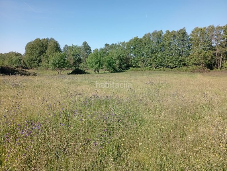 Foto e4ee13ad-9b63-4445-9788-3b9ab6ef469b. Finca rústica a Talaveruela de la Vera