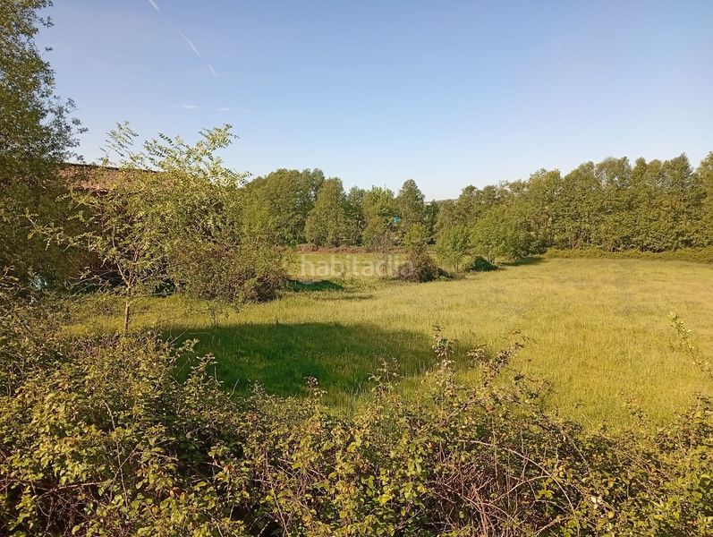 Foto e8361c99-d128-41c0-8f0f-6df4e6ea9ad7. Finca rústica a Talaveruela de la Vera