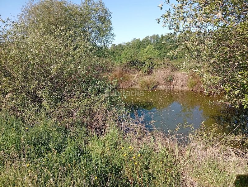 Foto eade37de-2dfb-4ce5-b8fb-cca1492cba4a. Finca rústica a Talaveruela de la Vera