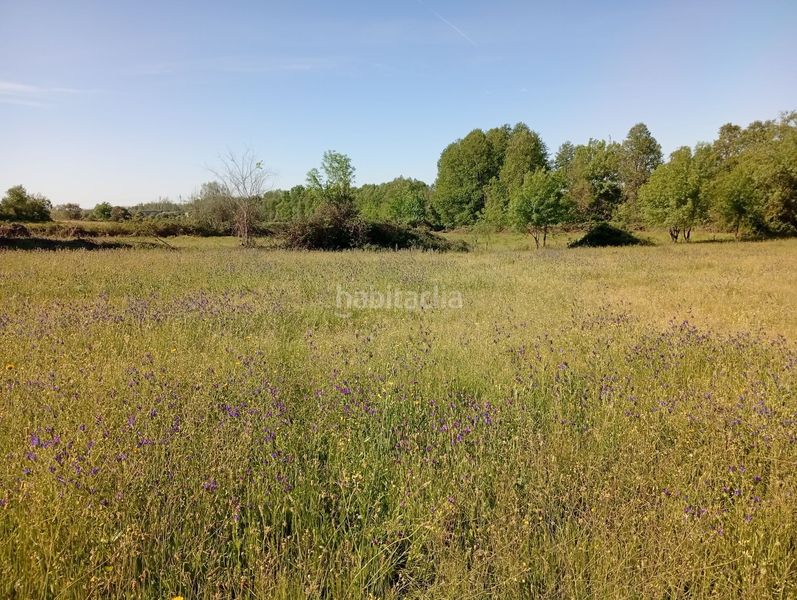 Foto efa2fdef-fc78-4ab8-ac3e-8f909e5adc11. Finca rústica a Talaveruela de la Vera