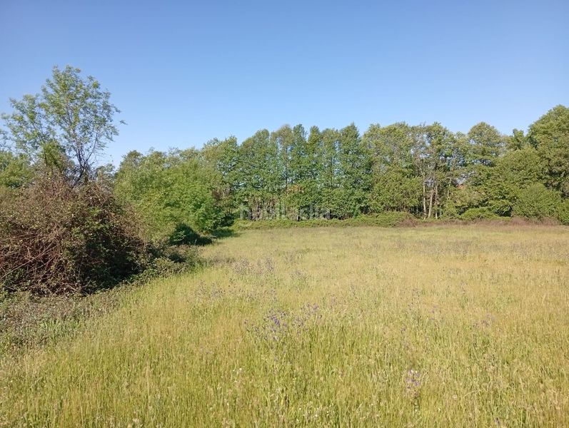 Foto f3248d6b-eae7-45e4-8b06-4f7256e61c1f. Finca rústica a Talaveruela de la Vera