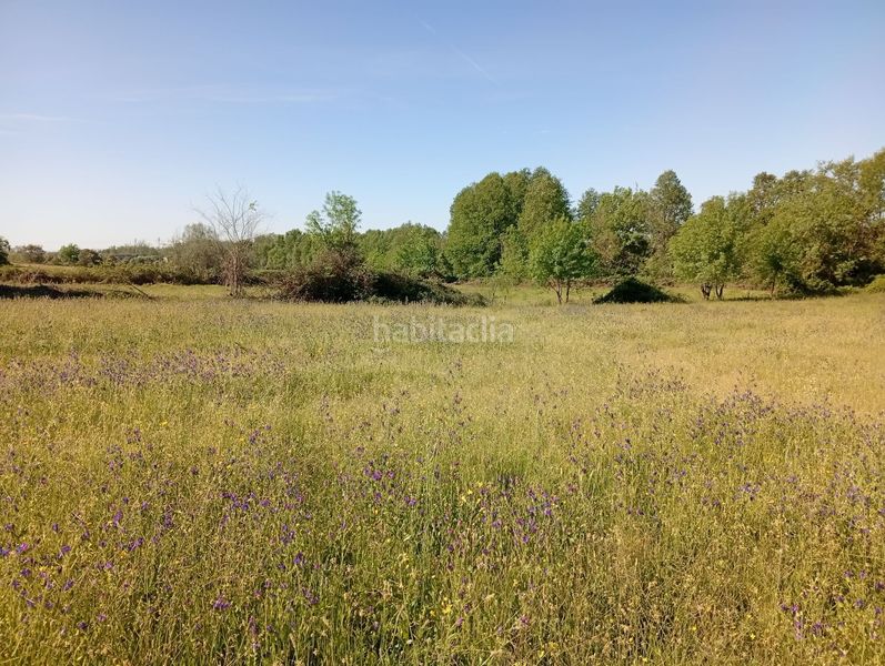 Foto fd0c1ab9-4313-4318-a731-103d818d4810. Finca rústica a Talaveruela de la Vera