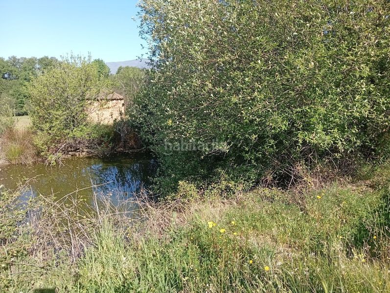 Foto fd16958f-413e-42b8-95c1-d853ae09d923. Finca rústica a Talaveruela de la Vera