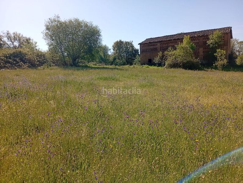 Foto fd288b89-bcdf-4b6d-bcc5-851809c87e27. Finca rústica a Talaveruela de la Vera