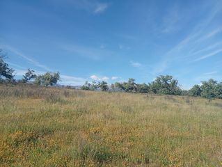 Finca rústica a Villanueva de la Vera