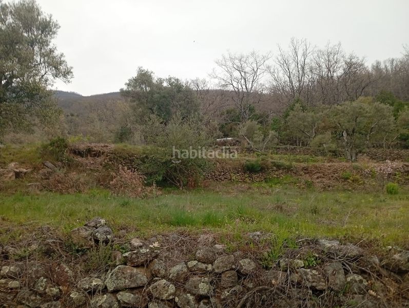 Foto 09c10b23-c938-4821-8573-344d9709116a. Finca rústica a Valverde de la Vera