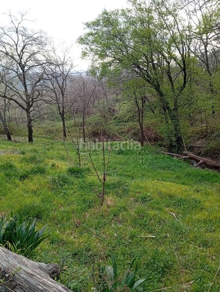 Foto 0ba911db-5876-4182-be71-69637dea0c98. Finca rústica a Valverde de la Vera