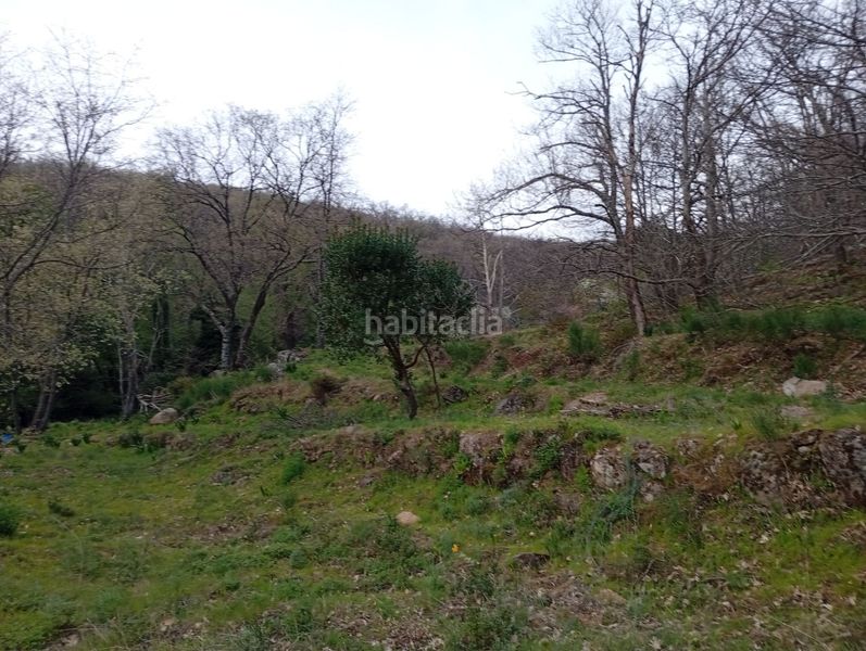 Foto 1ee7bb89-7c00-4737-a732-12349d7774fc. Finca rústica a Valverde de la Vera