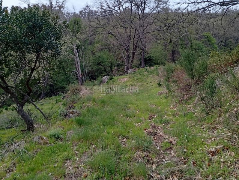 Foto 4d0433c2-bb86-4555-a8c8-13ddee80a847. Finca rústica a Valverde de la Vera