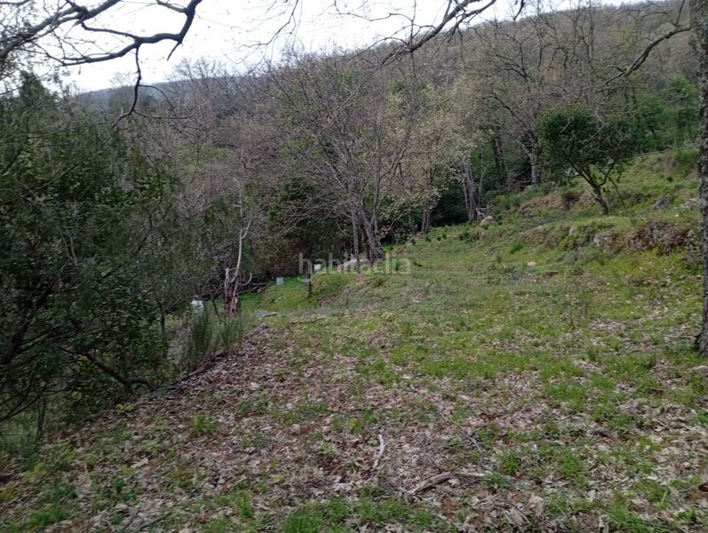Foto 5b8e582c-35b6-4fa6-beda-d59aefa41377. Finca rústica a Valverde de la Vera
