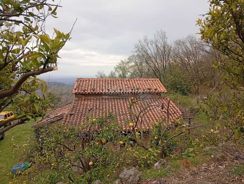 Foto 62481b20-ccd2-445b-9351-00d96d85758a. Finca rústica a Valverde de la Vera