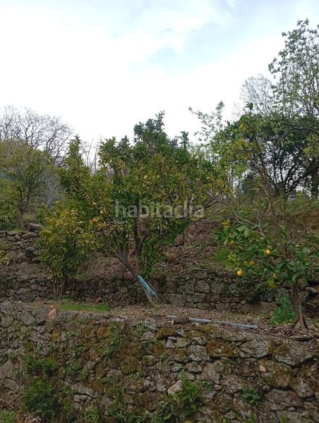 Foto 8533e18f-1c93-4464-a23a-c9488d47c9d5. Finca rústica a Valverde de la Vera