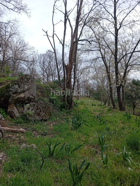 Foto a54aa2d0-554e-4254-8846-711ce390f927. Finca rústica a Valverde de la Vera