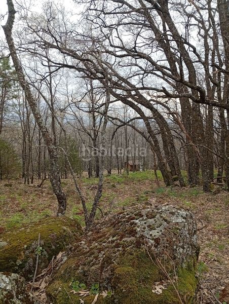 Foto ac3f3616-b5b2-42fe-834e-1bb82ad9e07e. Finca rústica a Valverde de la Vera