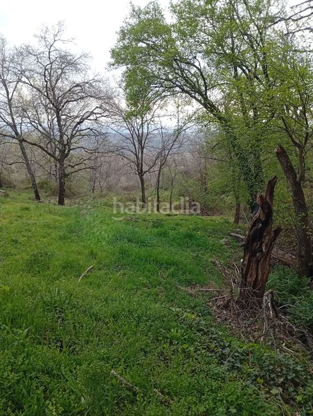 Foto af23a79a-bd0d-4fba-a713-9ac27789c465. Finca rústica a Valverde de la Vera