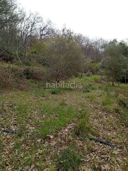 Foto afd54fb2-bd95-4722-acfb-36ddd4f458e0. Finca rústica a Valverde de la Vera