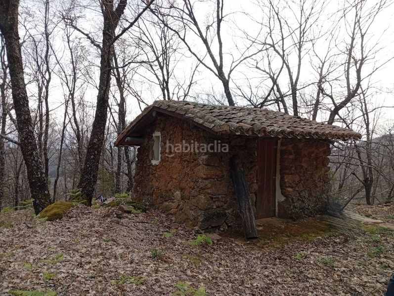 Foto c0ec45d1-2c21-4e46-b9f0-bca51d6b4c6e. Finca rústica a Valverde de la Vera