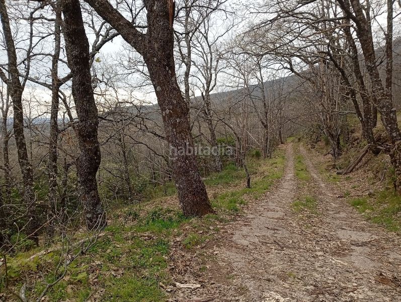 Foto c4a9fbcd-6f06-4134-96fc-d56c733701c1. Finca rústica a Valverde de la Vera