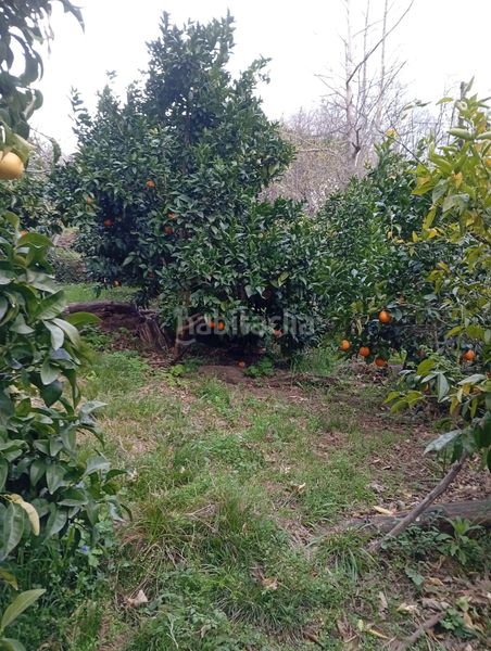 Foto c7842fdf-c507-475e-a1f8-339418eb607f. Finca rústica a Valverde de la Vera