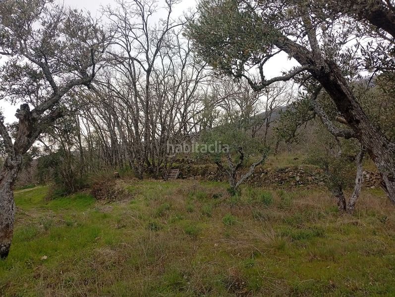 Foto ca9d6009-31e7-47d6-9109-385624aee3df. Finca rústica a Valverde de la Vera