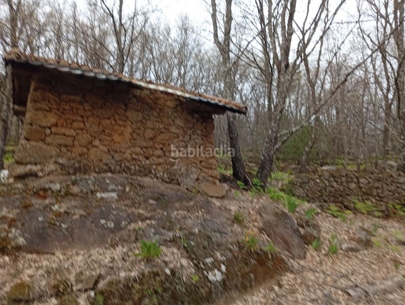Foto de2b29af-a69a-492a-947b-5781e455cb4e. Finca rústica a Valverde de la Vera