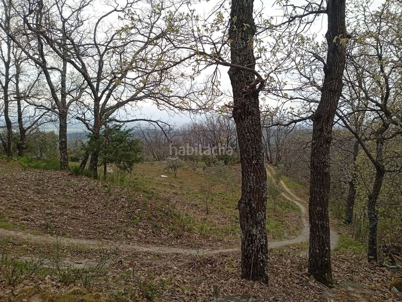 Foto e7515b55-0d89-4ae3-b1b4-468c4176b312. Finca rústica a Valverde de la Vera