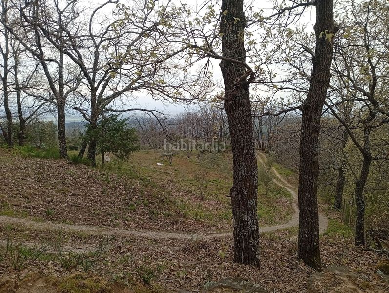 Foto f0d1cb94-5f9d-47d4-98f8-f1ad65f55d44. Finca rústica a Valverde de la Vera