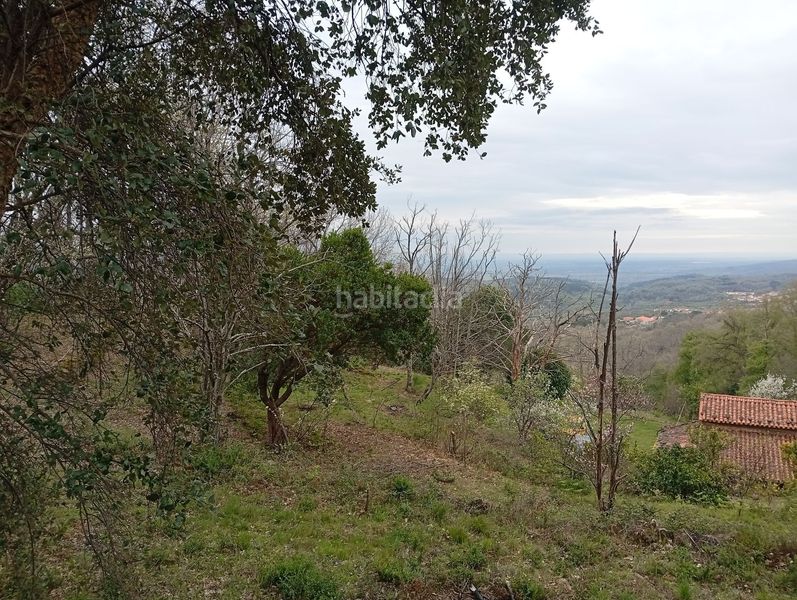 Foto f2e46524-c529-47aa-aeb5-0a872e6e108e. Finca rústica a Valverde de la Vera