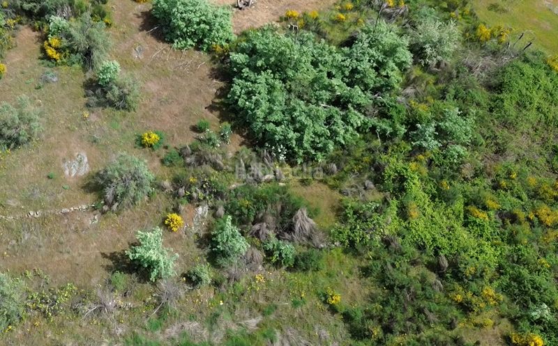 Foto 0024c884-c28d-44ca-9b75-1d3695b869bb. Finca rústica a Viandar de la Vera