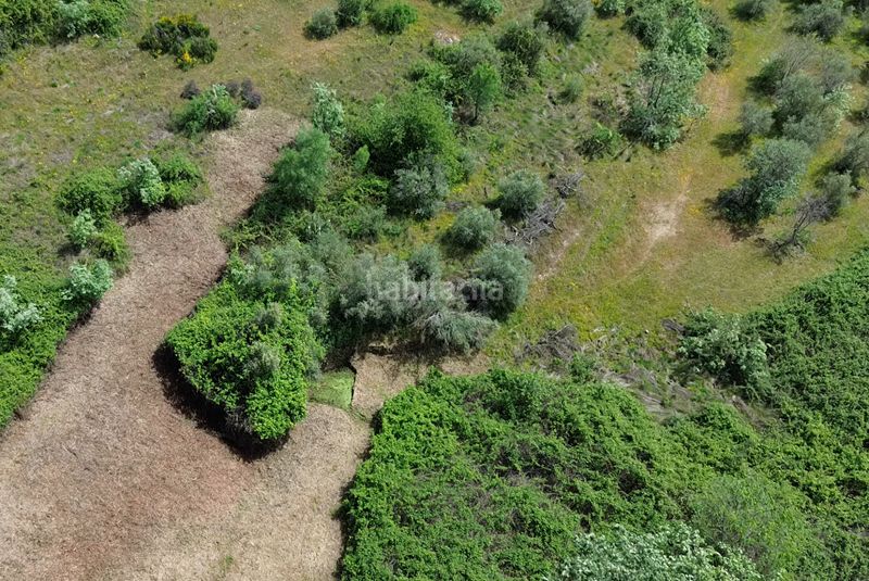 Foto 01cac914-7ae5-4117-9c49-514a7824c63f. Finca rústica a Viandar de la Vera