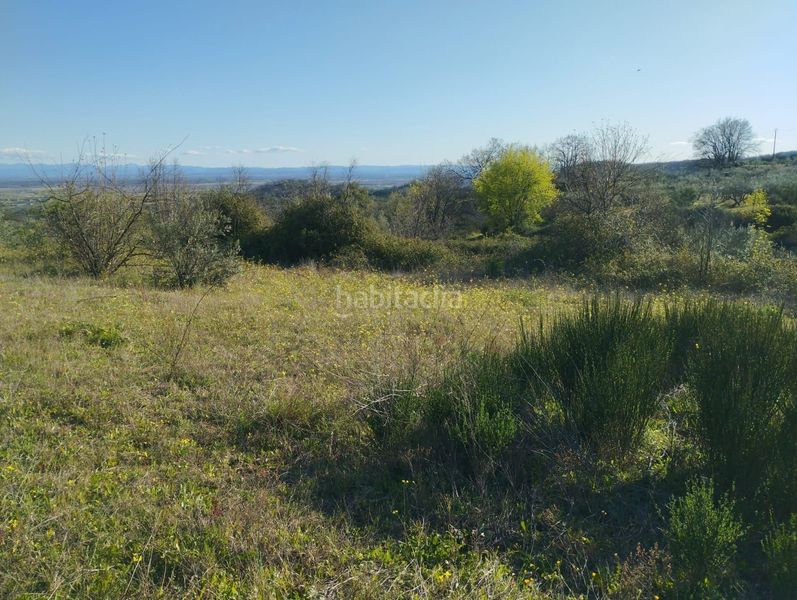 Foto 0872ad43-5f30-42c3-b882-e09cb5d4cdfe. Finca rústica a Viandar de la Vera