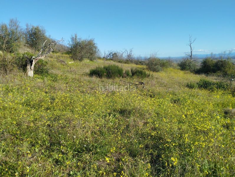 Foto 1983a4e0-298f-4fee-a027-1db0ff766746. Finca rústica a Viandar de la Vera