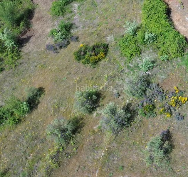 Foto 1cef9972-cfbd-4488-a437-ff3a2641f32f. Finca rústica a Viandar de la Vera