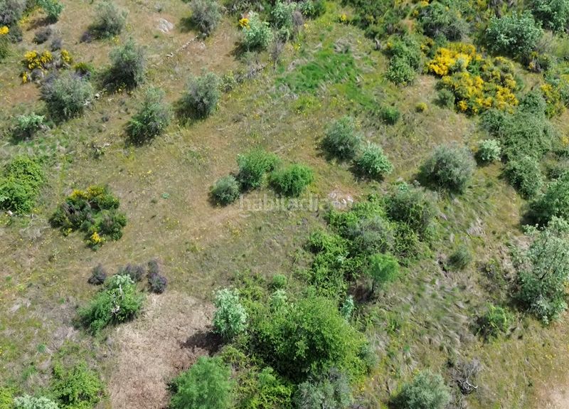 Foto 1d50d740-08ea-4a7c-8df1-f7bb00ff488f. Finca rústica a Viandar de la Vera