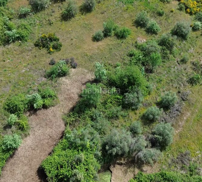 Foto 1dd8b89a-0c42-49f3-a387-b4fd5c5f6523. Finca rústica a Viandar de la Vera