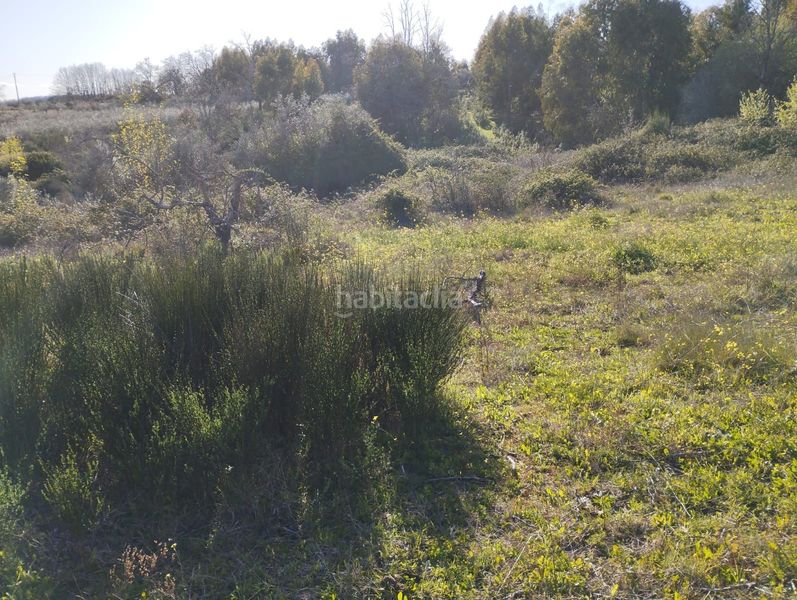 Foto 2cf8acff-2da0-4050-98e4-74e88f1d3275. Finca rústica a Viandar de la Vera