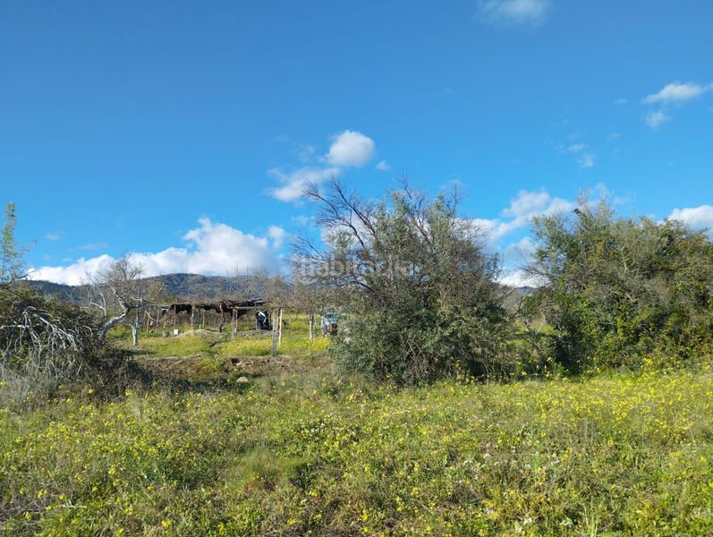 Foto 42694325-d428-4a55-9e52-4468bd1304d1. Finca rústica a Viandar de la Vera