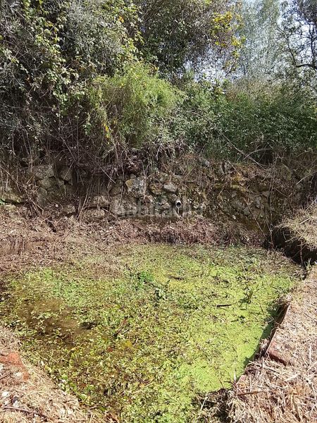 Foto 430a7964-d164-4238-bb72-e6359a8bee0b. Finca rústica a Viandar de la Vera