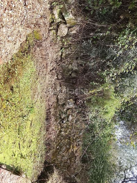 Foto 666063eb-7489-45b8-bc5b-779d80489643. Finca rústica a Viandar de la Vera