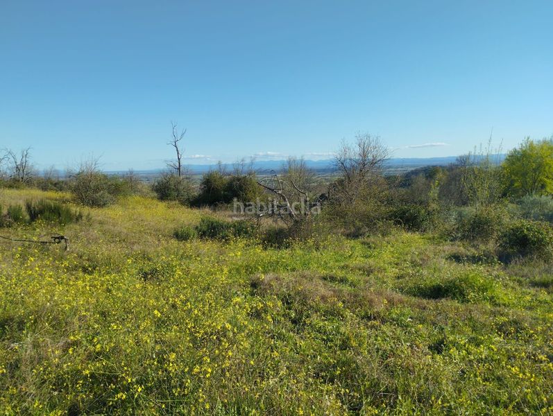 Foto 6a738a17-a351-4069-bbe5-e1af2f2f300d. Finca rústica a Viandar de la Vera