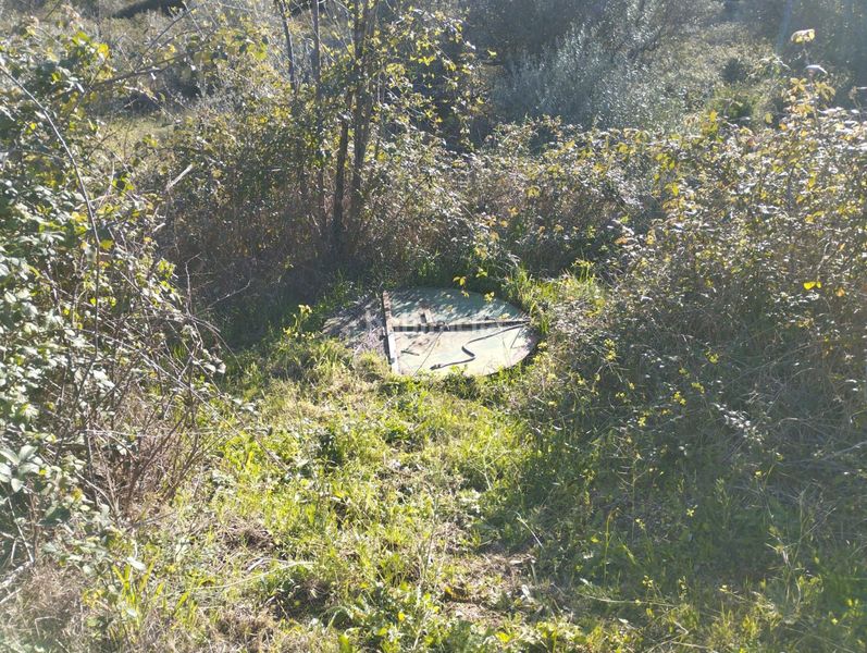 Foto 7156541f-8392-4d45-8db7-360b3ec34359. Finca rústica a Viandar de la Vera