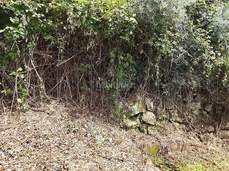 Foto 79af50cf-8847-4894-b3c3-beec0df9a0f4. Finca rústica a Viandar de la Vera