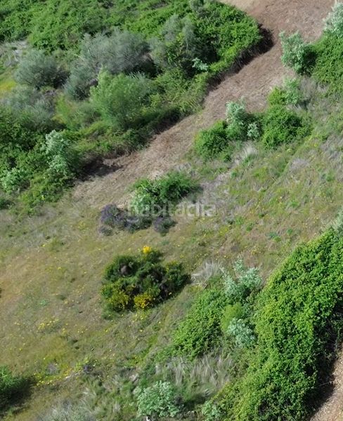 Foto 83878227-fc9f-44a2-b6b3-13749da8cbe0. Finca rústica a Viandar de la Vera