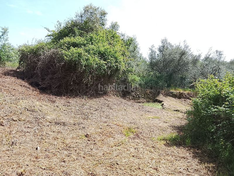 Foto 88c40ec4-7e7c-4d65-a07b-2bd47c6fa3ee. Finca rústica a Viandar de la Vera