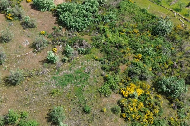 Foto 8a689ae0-8f6b-4413-b46a-a2aeecb0c201. Finca rústica a Viandar de la Vera