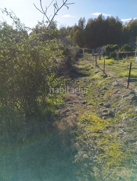 Foto 8f4ba743-b35e-4f7f-a75c-094da837307e. Finca rústica a Viandar de la Vera